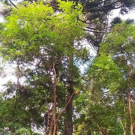 Chacara Rancho Paraiso Piraquara المظهر الخارجي الصورة