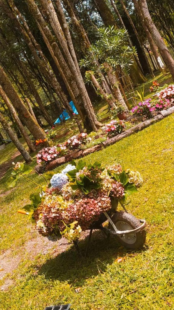 Chacara Rancho Paraiso Piraquara المظهر الخارجي الصورة